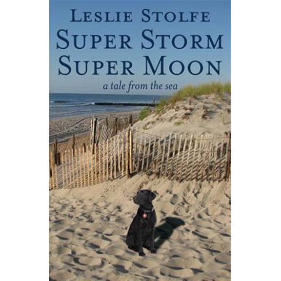 Pre-Owned Super Storm Super Moon: A Tale from the Sea Paperback