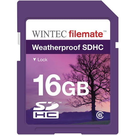 Wintec Filemate 16GB SDHC Weatherproof Memory Card Class 6, Purple