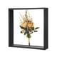 thumbnail image 1 of Marco de Flores Secas Uxcell, Marco de Sombra de Madera de 10 x 10 Pulgadas, Marco de Imagen de Acrílico Doble [Negro], 1 of 1