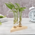 thumbnail image 1 of Jarrón de terrario, planta hidropónica, bonsái, marco de madera, maceta, decoración para el hogar y la Oficina, 1 of 5