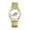 Style 4, variant on Stretch Strap Watch for Women: Analog quartz Elastic Strap Watch with Roman numerals and Tai Chi Decorative Dial