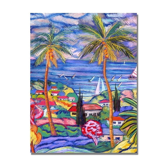 Trademark Fine Art "Maui Surf" Canvas Art by Manor Shadian