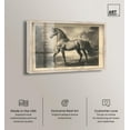 thumbnail image 2 of Sketch of a Stallion Shadowbox Print Farm Animals Art by Art Remedy, Blonde Frame, 15 x 10, 2 of 7
