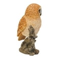 thumbnail image 3 of Hi-Line Gifts 12.5" Tawny Owl on Stump Outdoor Garden Statue, 3 of 5