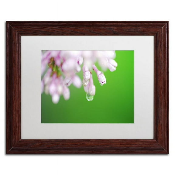 Trademark Fine Art "Pure" Canvas Art by Monica Mize, White Matte, Wood Frame