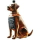 thumbnail image 2 of Botellas de perro Botellas de vidrio Botellas vacías Selladas Adornos para el hogar Vino Vino., 2 of 7