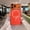 Orange, variant on Magnetic Case for iPhone 13, Compatible with MagSafe, Ultra Slim Matte Clear Bumper Frame, Non-Slip Shockproof Protective Cover, Military-Grade Drop Protection, Orange