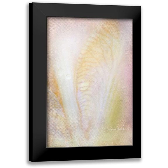 Murdock, Ramona 17x24 Black Modern Framed Museum Art Print Titled - Dew Drops on Iris