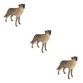 thumbnail image 1 of Guardoinrt Simulation Interactive Animal Figures Modèle pour les Enfants Jouets Éducatifs Hurlant Loup Type un 3Set, 1 of 6