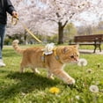 thumbnail image 4 of Dvkptbk Apis Florea Cats Traction Rope T-shaped Antiskid Outdoor Walking Rope Adjustable Chest Strap Cats Rope pet supplies, 4 of 6