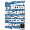 Productive Fitness CDUP Dumbbell Shoulders and Arms - Paper