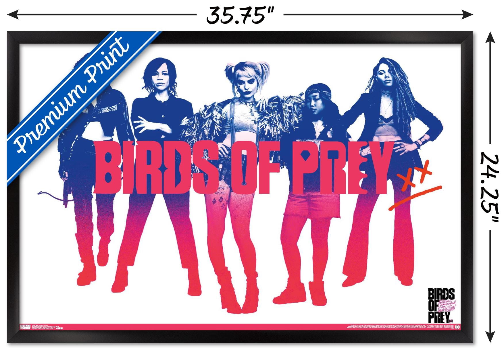 DC Comics Movie - Birds of Prey - Group Wall Poster, 22.375" x 34", Framed