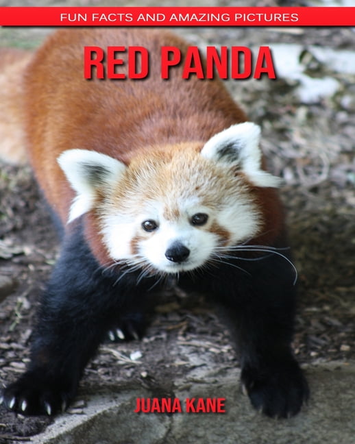 Red Panda Fun Facts And Amazing Pictures Paperback Walmart Com