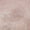 Peach, variant on Addison Rugs Mayfield Washable Coastal Shell Border Oyster Rectangle Rug, 10' x 14'