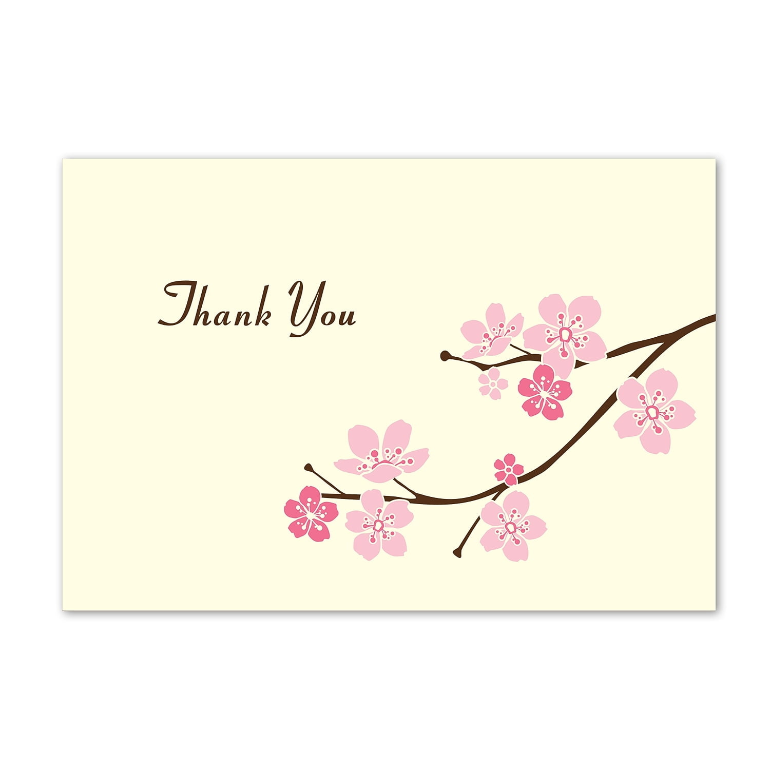 Great Papers! Blossom Branches Thank You 50 count 2012063