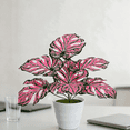 thumbnail image 6 of huayou 17.72 inch Variegated Pink Artificial Monstera Plant with White Pot, Faux Split Leaf Potted Greenery, Indoor Tabletop Living Room Office Decoration, 6 of 9