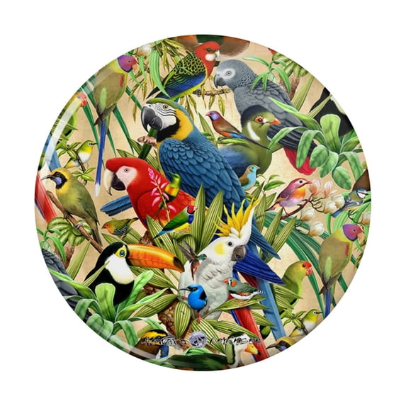 Tropical Birds Parrot Macaw Toucan Pattern Pinback Button Pin
