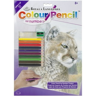 Cribun Drawing Pencils for 6 7 8 9 10 11 12 year old girl, Art Set