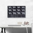 thumbnail image 2 of ARTCANVAS White Horse - Animal Locomotion Canvas Art Print by Eadweard Muybridge - Size: 26" x 18" (1.50" Deep), 2 of 9