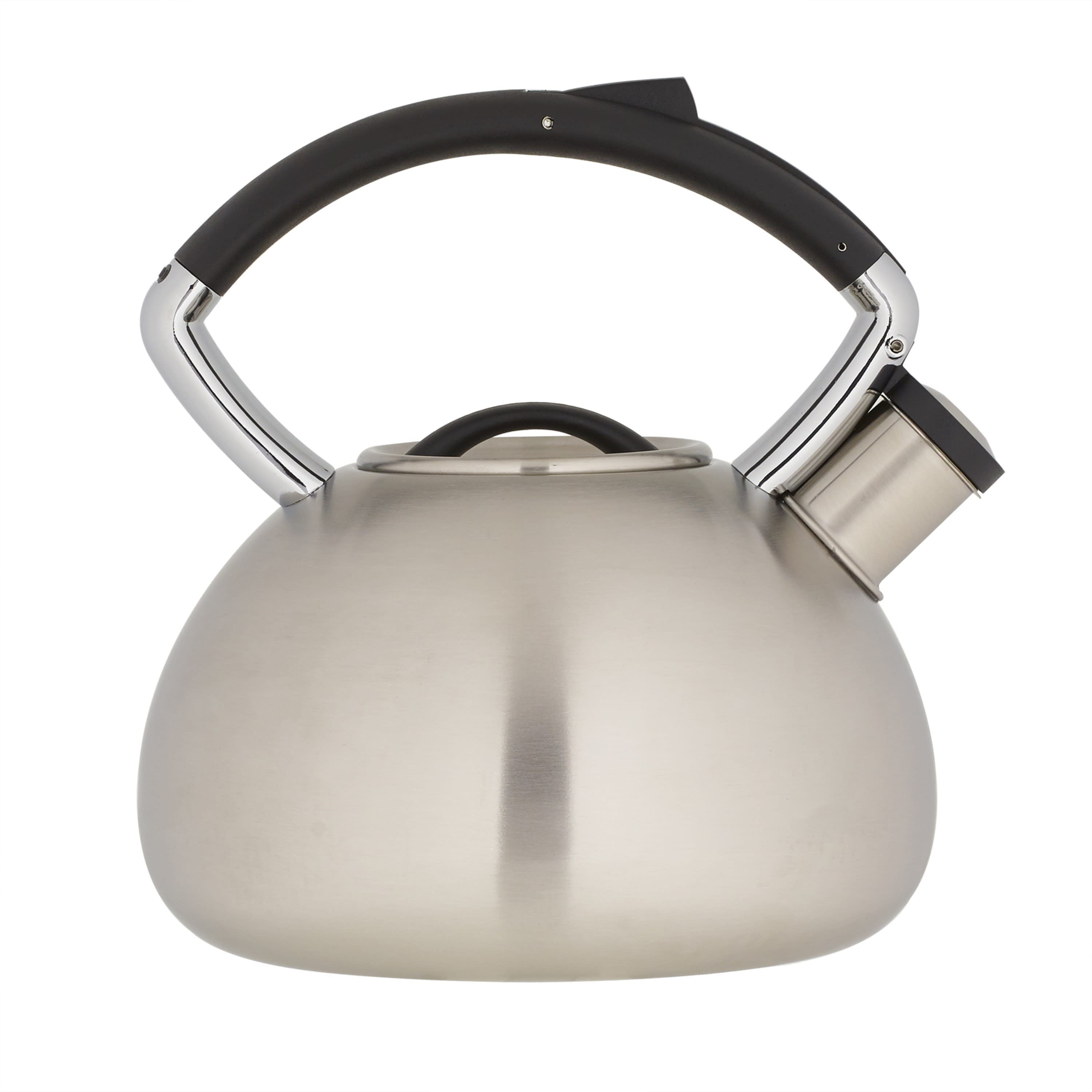 Harpwell 60 oz. 2-Cups Stainless Steel Tea Kettle 98583939M - The Home Depot