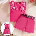 thumbnail image 2 of Infant Toddler Baby Girl Summer Clothes Bow Embroidery Short Sleeve T Shirts Top Shorts 2 Piece Summer Outfits Set Girls Summer Set 1-3 Years,9-12 Months, 2 of 9
