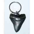 thumbnail image 1 of Megalodon Tooth KEYCHAIN (Metal Replica) Giant Fossil Shark, 1 of 3