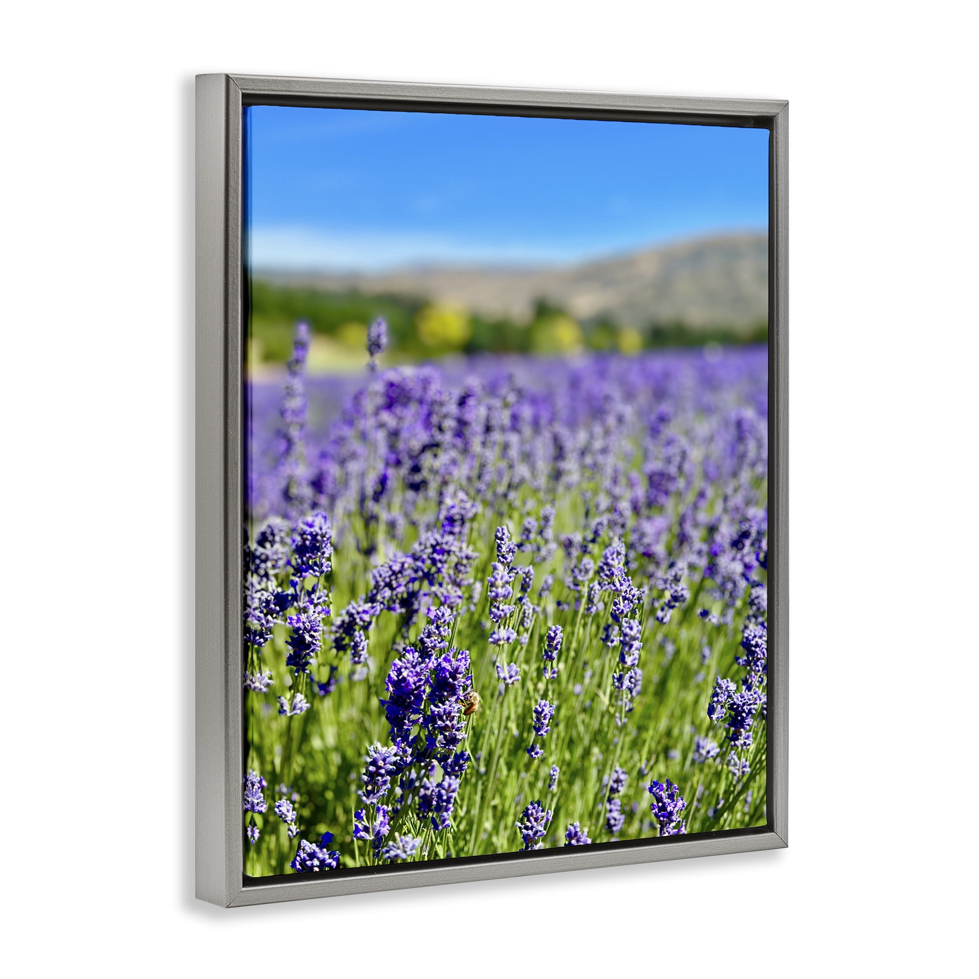 Stupell Industries Lavender in the Wind Landscape Photography Gray Floater Framed Art Print Wall Art, 17 x 21