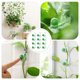 thumbnail image 2 of 20 piezas de ganchos para plantas trepadoras con forma de caracol, 2 of 5