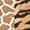 TAN, variant on Alfred Dunner Womens Petite Split Neck Animal Patch Top