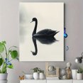 thumbnail image 4 of Qisvanset 12x16 Inch 2D Flat Framed Canvas Art, Black Swan Water Reflection Minimalist Wildlife Modern Home Wall Art, 4 of 5
