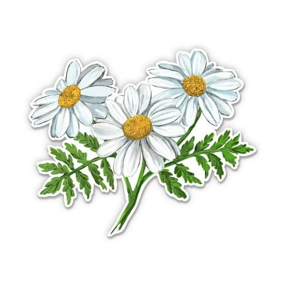Pretty Wild Daisies - 3" Vinyl Sticker - For Car Laptop Water Bottle Phone - Waterproof Decal