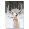 thumbnail image 1 of Carteles de invierno del país de las Maravillas, impresiones de Navidad, abeto, pino, reno, alce, lienzo, pintura, paisaje, pared, arte, imagen, decoración, 1 of 4