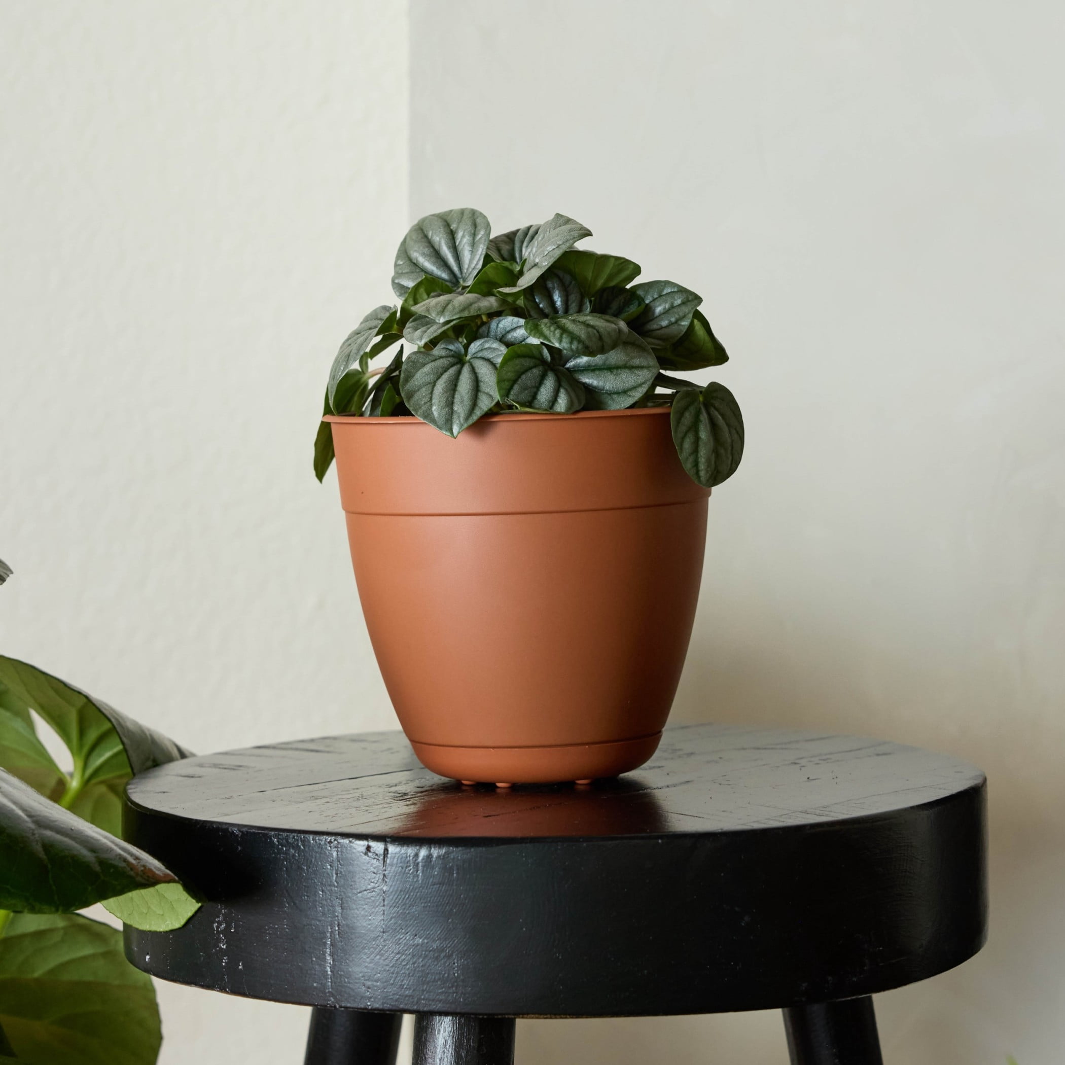Bloem Dayton 6" Plastic Planter - 100% Recycled Plastic Indoor/Outdoor Garden Pot with Drainage Holes & Saucer Tray, Terra Cotta