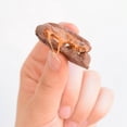 thumbnail image 3 of Demet's Turtles Pack Of 1 Original Pecan Milk Chocolate Clusters., 3 of 5