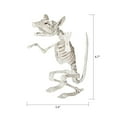 thumbnail image 4 of WAY TO CELEBRATE SKELETON RAT - SITTING, 4 of 6