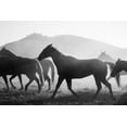 thumbnail image 2 of The Yellowstone Collection 32x23 White Modern Wood Framed Museum Art Print Titled - Heading Home, 2 of 4