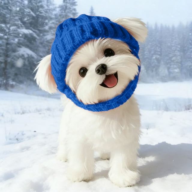 Knit With Ear Winter Dog Hat A Cap For Small Dogs Ideal For Photoshoots And Cold Weather Adventures