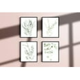 thumbnail image 3 of Impresiones de arte de pared de plantas botánicas, juego de 4 impresiones de decoración de pared de plantas, flores de cocina, hojas de flores, arte de pared, hoja boho, eucalipto (sin marco), 8 x 10 Ormromra WMPH-1252, 3 of 6