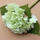 thumbnail image 3 of Peonía Artificial Gran ramo de flores artificiales realistas con 196 pétalos para decoración de bodas (verde claro,1 pieza) Rkxzt, 3 of 8
