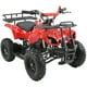 thumbnail image 1 of Cuatrimoto Atv Niños Montable LITTLE MONKEY 49cc Motor Gasolina Parrillas, 1 of 4