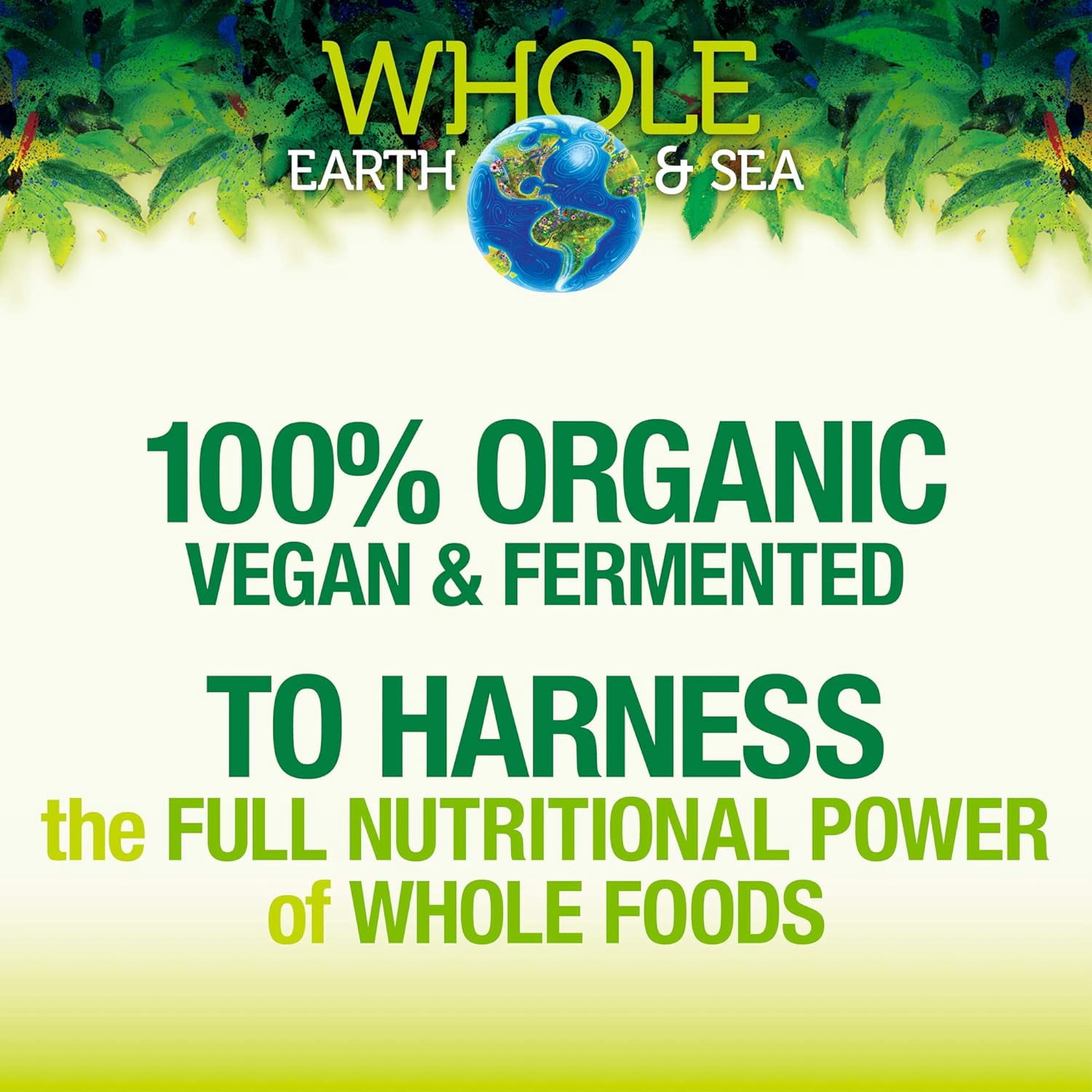 Natural Factors Whole Earth & Sea, Organic Fermented Protein & Greens, Vegan Whole Food Supplement, Vanilla Chai, 1 lb 7 Oz