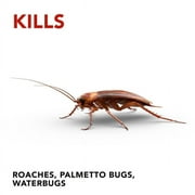 Raid Double Control 12 Small Roach Baits + 3 Egg Stoppers 1 ea, Pack of 2