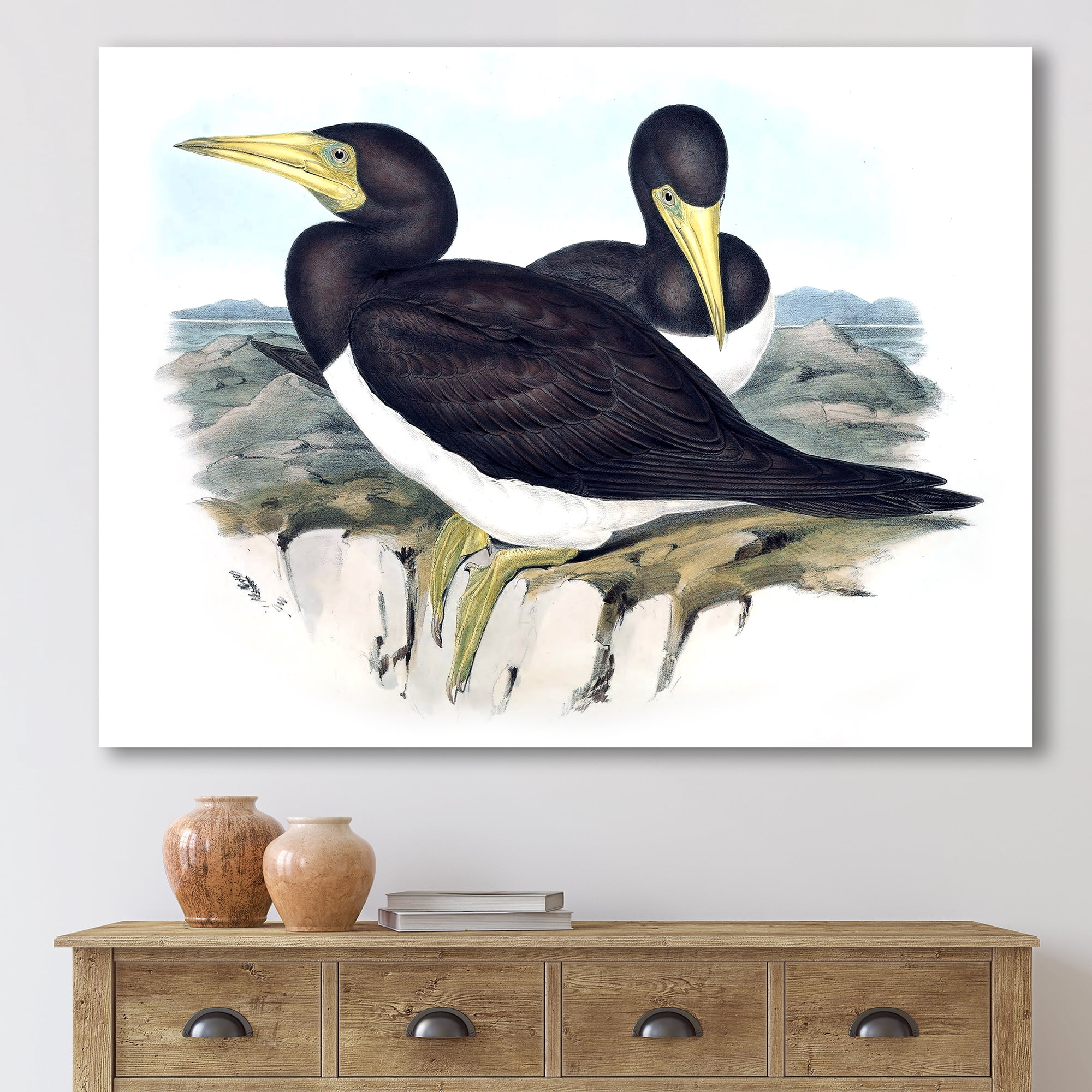 Designart ' Ancient Australian Birds XII ' Traditional Canvas Wall Art Print