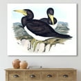 thumbnail image 2 of Designart ' Ancient Australian Birds XII ' Traditional Canvas Wall Art Print, 2 of 4