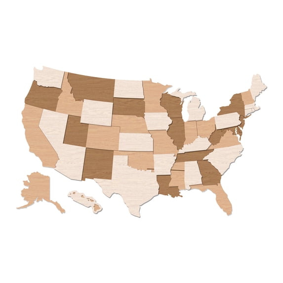 The Cabin Woodworker - Homestyle 3D USA Map - XX-Large (49" x 33") - Southwestern - Blank