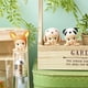 thumbnail image 4 of Sonny Angel Hippers-caja misteriosa para niños, caja ciega, Serie de Ángel tumbado, figuras de Anime, juguetes, caja sorpresa de dibujos animados, bolsa Guess, 4 of 4