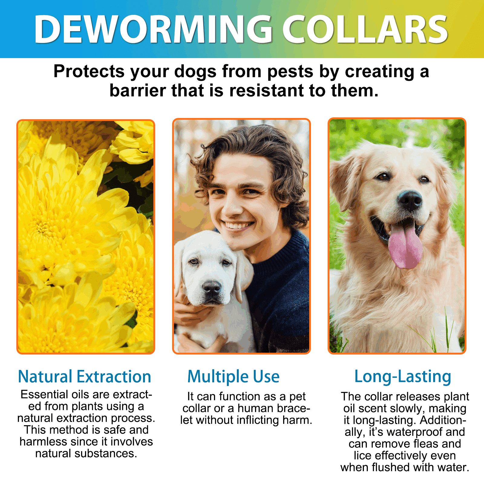 Oimmal Comfort & Protection Dog Collar, 24 Months, Soft & Comfortable, Adjustable 19inch (4 Collars - Blue & Orange)
