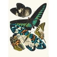 thumbnail image 3 of Emile-Allain Séguy 18x24 Black Modern Framed Museum Art Print Titled - Butterflies, Pl. 10 (1925), 3 of 5
