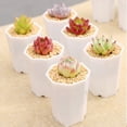 thumbnail image 5 of Moluckfu Succulent Planter Pot White 10Pcs 2.8X2.7X2In For Balcony Use, 5 of 8