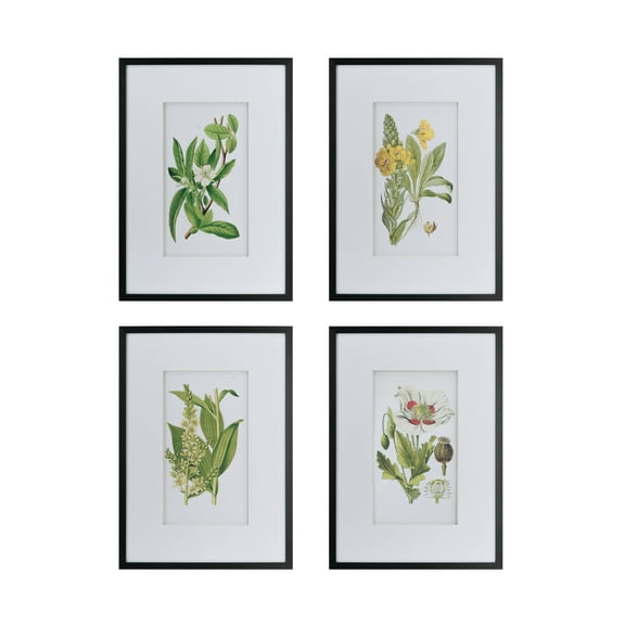 Botanical Flower Wall Art - Black, White